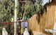 Skenes Creek Beach Retreat Free Wi-Fi Ocean Views. - thumb 2