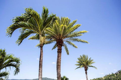 STAR VIEW 9, POOL, WIFI, SLEEP 4, BEST VIEWS IN AIRLIE - Accommodation Georgetown 3