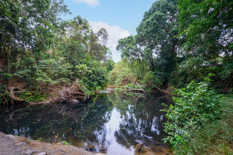 Tasman Holiday Parks - Cairns Cool Waters - Accommodation Georgetown 2