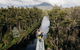 Tahune AirWalk Cabin And Lodge - thumb 0