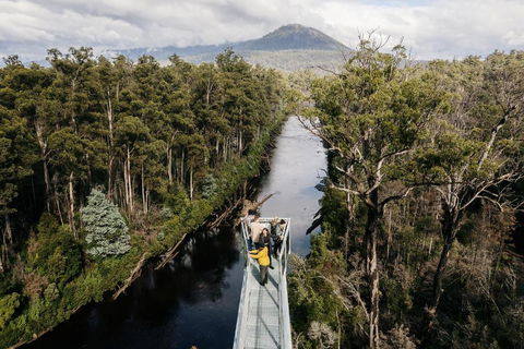 Tahune AirWalk Cabin And Lodge - Accommodation Georgetown 0