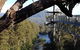 Tahune AirWalk Cabin And Lodge - thumb 1