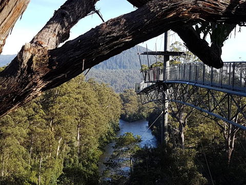 Tahune AirWalk Cabin And Lodge - Accommodation Georgetown 1