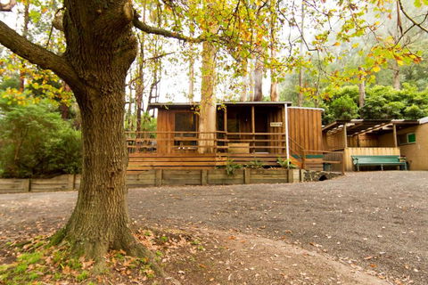 Tarra Valley Retreat - Accommodation Georgetown 2
