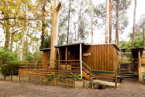 Tarra Valley Retreat - Accommodation Georgetown 0