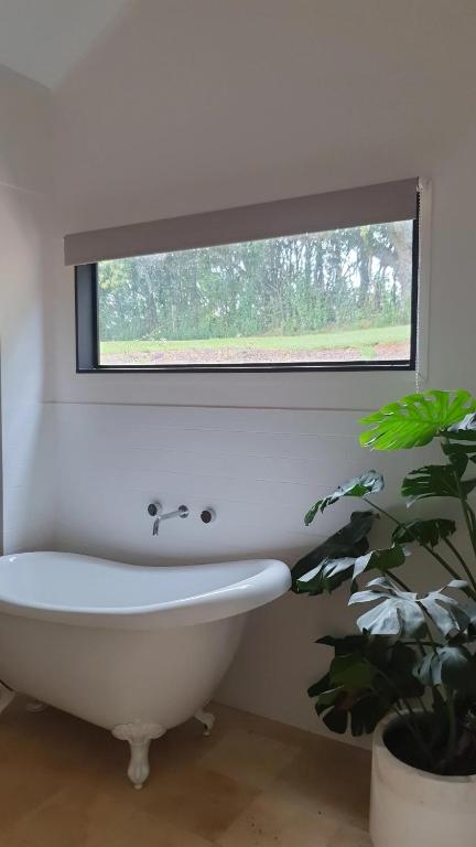 Ten Acres - Accommodation Georgetown 1
