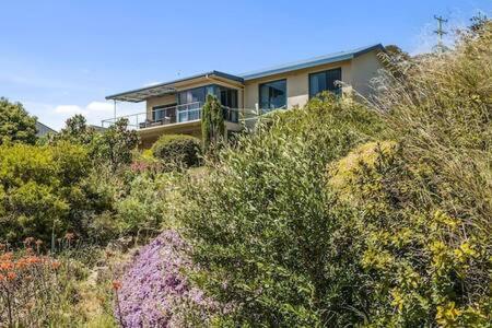 The Bay Waterfront Home 10 Min To CBD Sleeps 9 - Accommodation Georgetown 2
