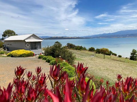 The Boat Shed - Accommodation Georgetown 2