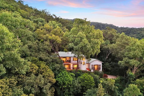 The Ferns Villa Serene Rainforest Retreat With Ocean Breezes - Accommodation Georgetown 3