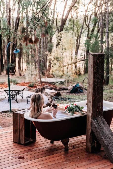 The Gully - Dreamy Cabin On Acres Of Outback Charm - Accommodation Georgetown 3