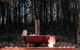 The Gully - Dreamy Cabin On Acres Of Outback Charm - thumb 2
