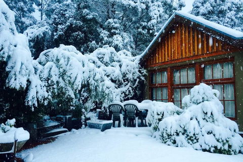 BEAUTIFUL RETREAT - 20 Mins To CBD And Only 10 Mins To MONA! - Accommodation Georgetown 0