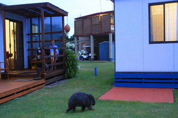 BIG4 Kelso Sands Holiday & Native Wildlife Park with Accommodation Georgetown