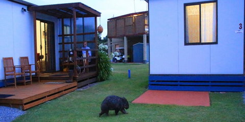 BIG4 Kelso Sands Holiday & Native Wildlife Park - Accommodation Georgetown 0