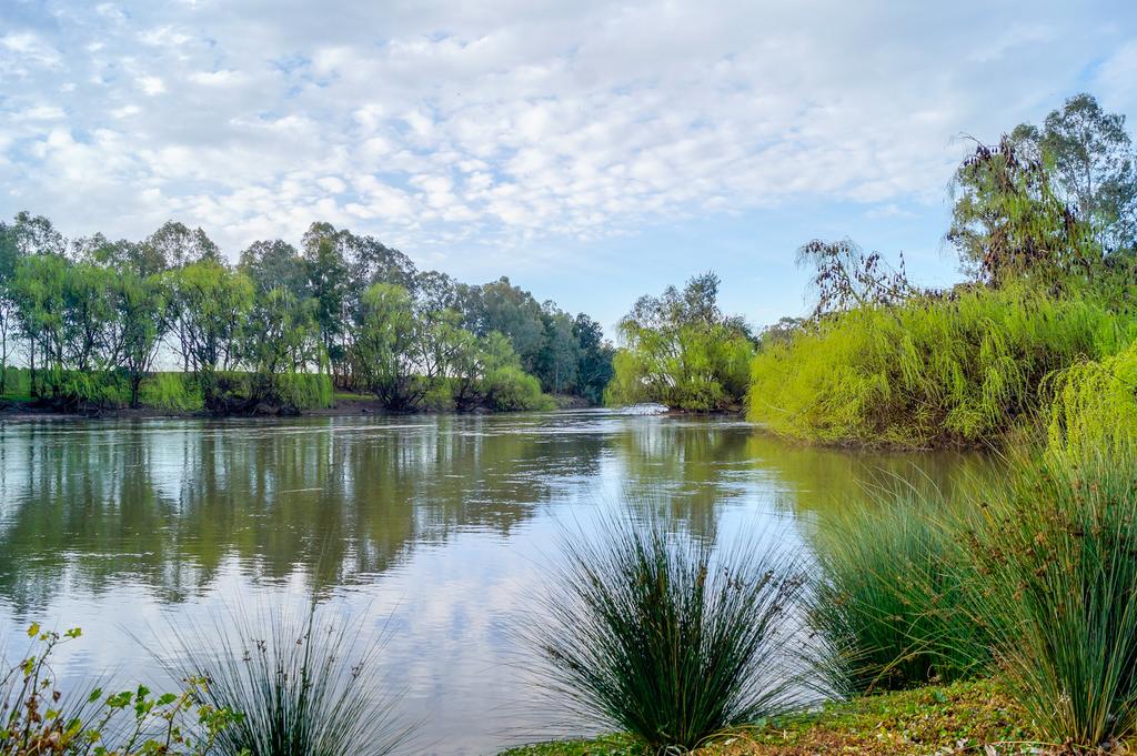 Harefield NSW Accommodation Georgetown