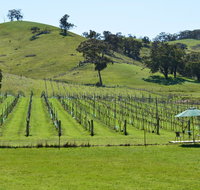 Blue House at Mountainside Wines - Accommodation Georgetown
