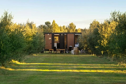 The Little Grove Retreat By Tiny Away - Accommodation Georgetown 1