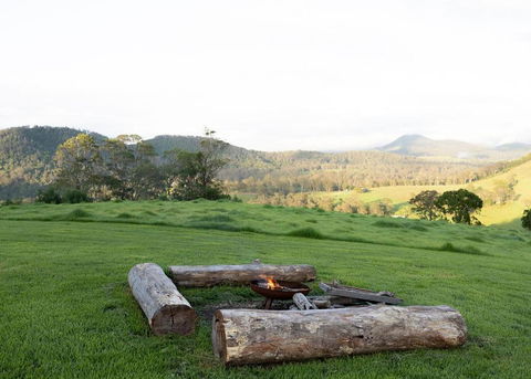 Tiny Zoe - Accommodation Georgetown 3