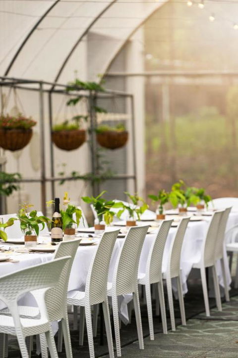 Winston Wallabies Urban Getaway - Accommodation Georgetown 2