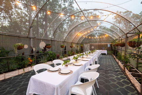 Winston Wallabies Urban Getaway - Accommodation Georgetown 3