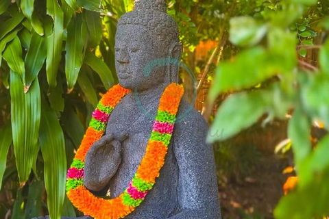 Zenhouse: 6-BR Balinese Tropical Oasis In Nightcliff Central - Accommodation Georgetown 3