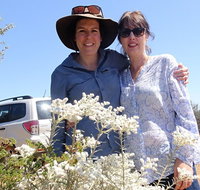 Spring Wildflower Private Day Tours - Accommodation Georgetown