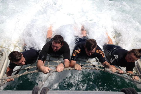 Cruise In Moreton Bay Marine Park And Moreton Island - Accommodation Georgetown 0