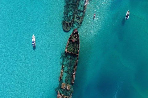 Cruise In Moreton Bay Marine Park And Moreton Island - Accommodation Georgetown 1