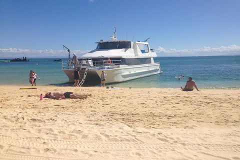 Cruise In Moreton Bay Marine Park And Moreton Island - Accommodation Georgetown 4