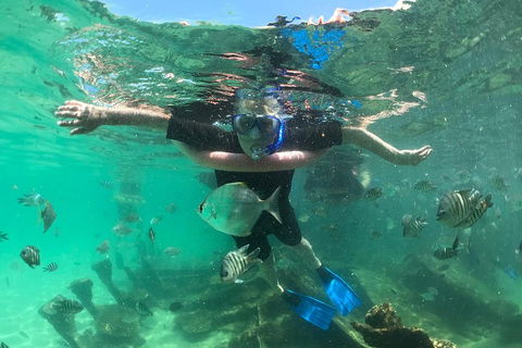 Cruise In Moreton Bay Marine Park And Moreton Island - Accommodation Georgetown 5