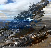 kunanyi / Mt Wellington Explorer Bus - 2 Hour Return Tour - Accommodation Georgetown