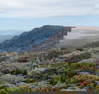 kunanyi/Mt Wellington Explorer Bus - One Way Tour - Accommodation Georgetown