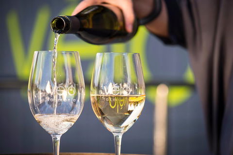 Half Day Tamar Valley Wine Tour - Accommodation Georgetown 0