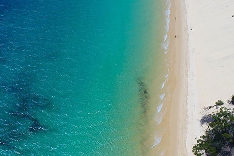 Private Tangalooma Wrecks Tour - Accommodation Georgetown 1