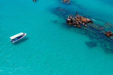 Private Tangalooma Wrecks Tour - Accommodation Georgetown 4