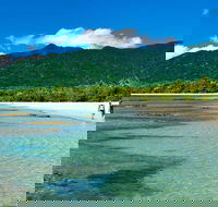 5-Day Best of Cairns with Daintree Kuranda and Great Barrier Reef - Accommodation Georgetown