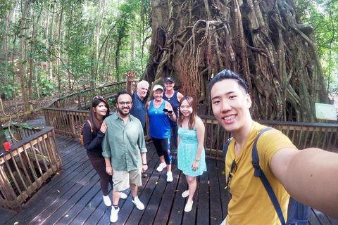 Cairns 4WD Waterfall And Rainforest Tour Including Kuranda Scenic Railway - Accommodation Georgetown 0