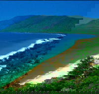 Cairns Reef and Rainforest Combo Daintree Rainforest and the Great Barrier Reef - Accommodation Georgetown