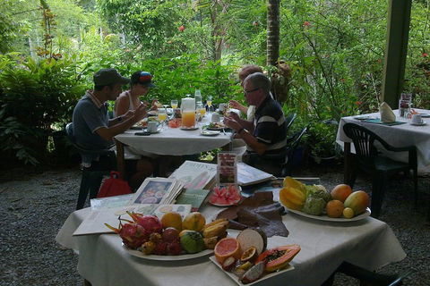 Cairns Reef And Rainforest Combo: Daintree Rainforest And The Great Barrier Reef - Accommodation Georgetown 3