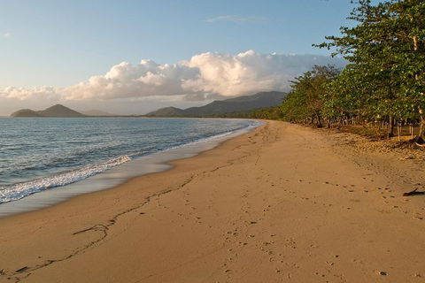 Cairns Reef And Rainforest Combo: Daintree Rainforest And The Great Barrier Reef - Accommodation Georgetown 4