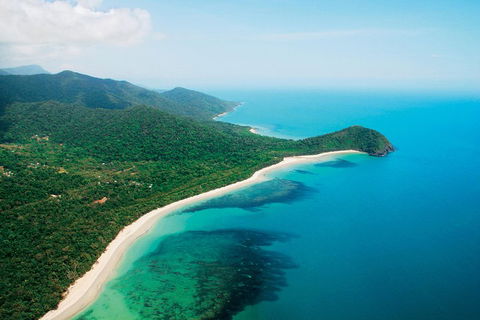 Cape Tribulation, Mossman Gorge, And Daintree Rainforest Premium Day Tour - Accommodation Georgetown 2