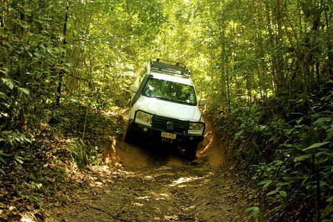 Cairns National Park Rainforest And Waterfall Small Group Tour Shore Excursion - Accommodation Georgetown 0