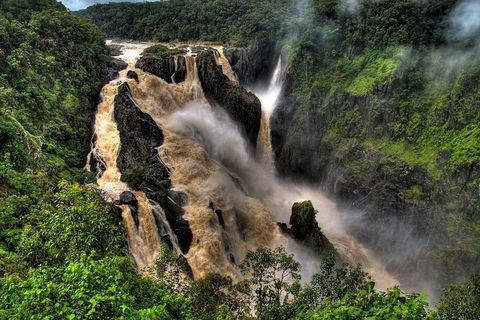 Cairns National Park Rainforest And Waterfall Small Group Tour Shore Excursion - Accommodation Georgetown 1