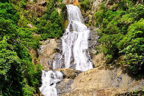 Cairns National Park Rainforest And Waterfall Small Group Tour Shore Excursion - Accommodation Georgetown 4