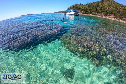 Whitehaven Beach Day Tour With Snorkel In Whitsundays Island - Accommodation Georgetown 5