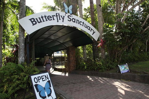 Kuranda Day Trip From Port Douglas Upgrade To Skyrail & Scenic Train Available - Accommodation Georgetown 0