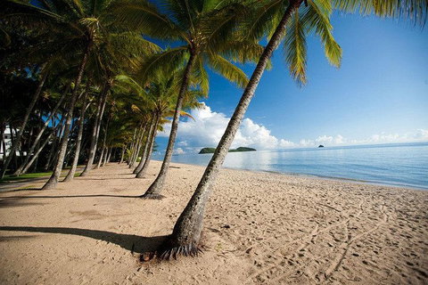 Kuranda Day Trip From Port Douglas Upgrade To Skyrail & Scenic Train Available - Accommodation Georgetown 1