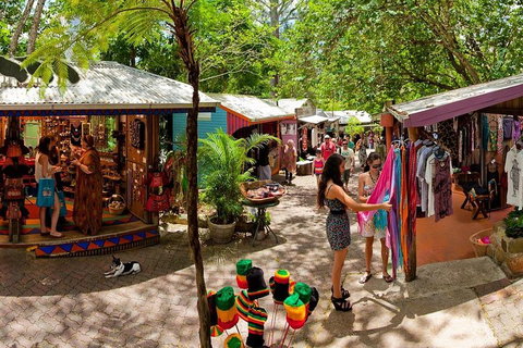 Kuranda Day Trip From Port Douglas Upgrade To Skyrail & Scenic Train Available - Accommodation Georgetown 2