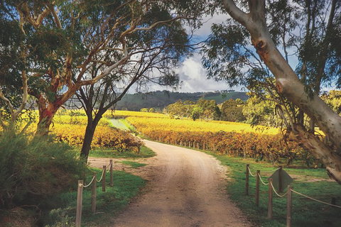 McLaren Vale Winery Small Group Tour With Wine Tasting And Lunch - Accommodation Georgetown 1