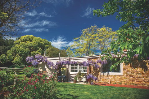 McLaren Vale Winery Small Group Tour With Wine Tasting And Lunch - Accommodation Georgetown 2